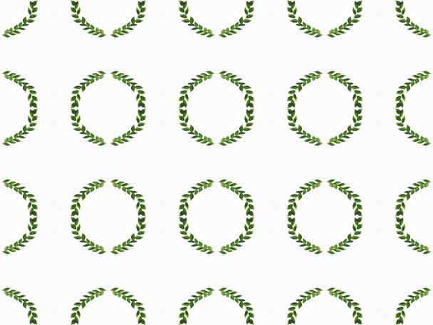 arranged green branches with leaves - Фото, зображення