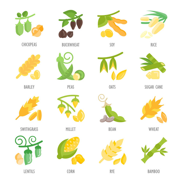 Set Vector Flat Icons of Beans and Cereals - Vector, Image