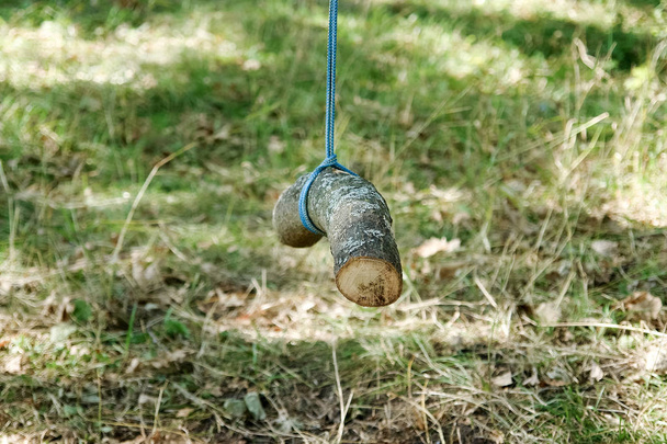 Primitive swing on autumn or spring park. - Photo, Image