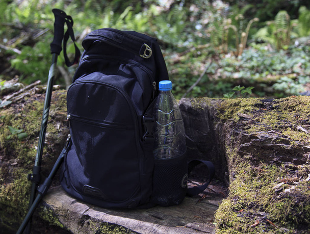 Рюкзак для походов и палочки для нордической ходьбы
 - Фото, изображение
