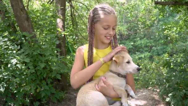 ein Mädchen streichelt einen Hund - Filmmaterial, Video