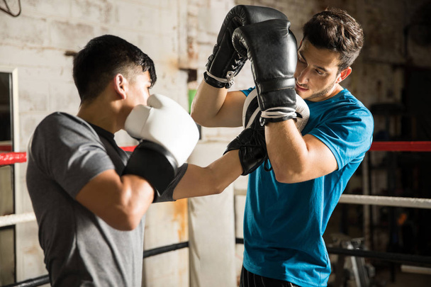 Boxer nocauteando seu oponente
 - Foto, Imagem