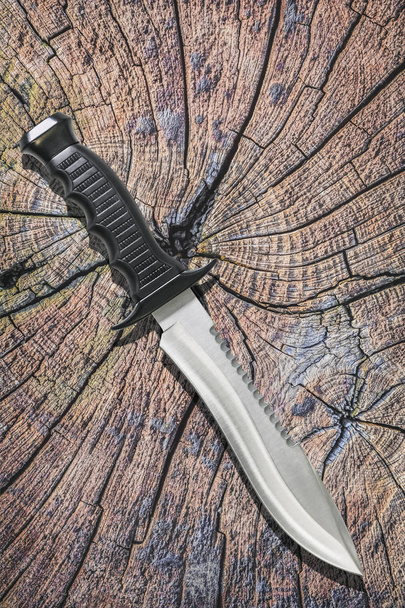 Tactical Combat Survival Gestekelde Bowie Knife Set jacht op oude verweerde gebarsten stomp rustieke bovenvlak - Foto, afbeelding