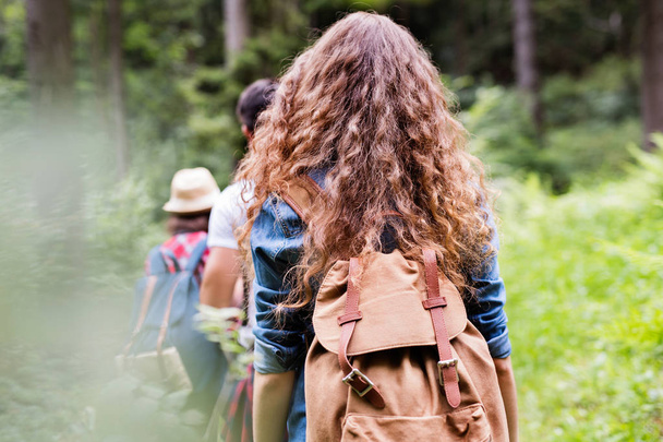 Teenagers with backpacks hiking in forest. Summer vacation. - Photo, Image