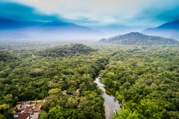 Widok z lotu ptaka z Amazonii, Ameryka Południowa - Zdjęcie, obraz