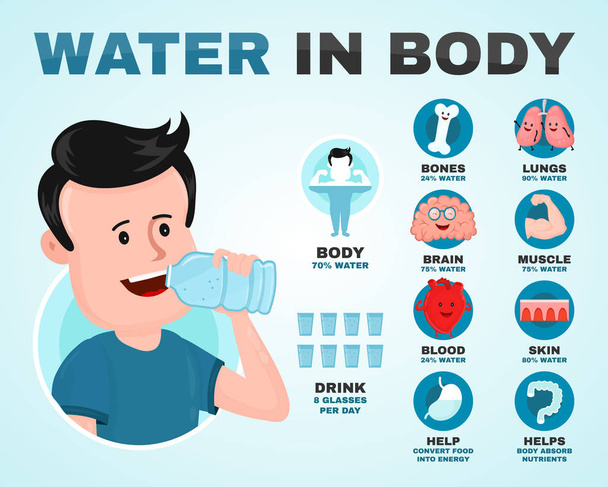 Wasser in der Körper-Infografik. junger Mann  - Vektor, Bild