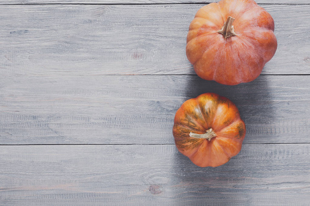 Autumn harvest pumpkins background with copy space - Foto, imagen