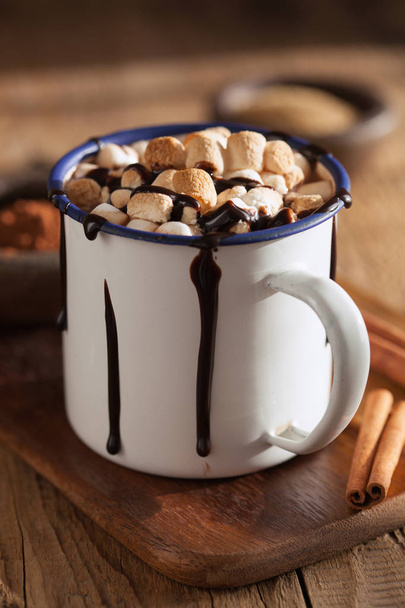 καυτή σοκολάτα κανέλα μίνι marshmallows s'mores χειμερινό ποτό - Φωτογραφία, εικόνα