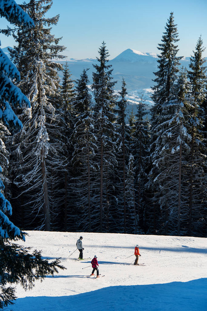Три лыжника едут вниз по склону
 - Фото, изображение