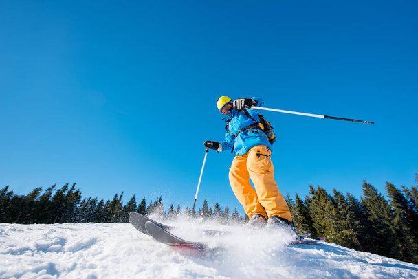skier skiing  in the mountains  - 写真・画像