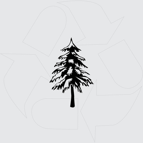 spruce vector icon - Vector, Image