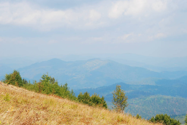 Mountain landscape in Carpathian - Photo, Image