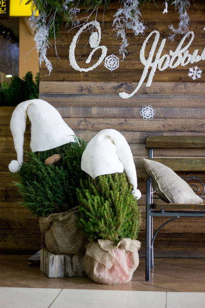 Рождественское украшение с ветками снега и елки. - Фото, изображение