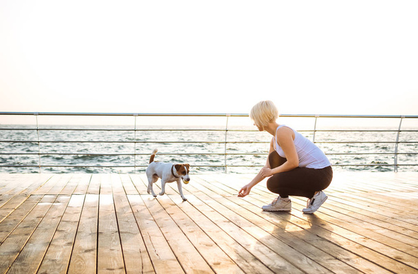 woman training dog jack russel  - Fotó, kép