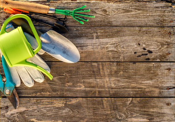 Gardening tools on wooden table - Photo, Image