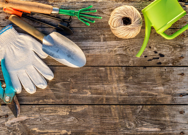 herramientas de jardinería y regadera  - Foto, imagen
