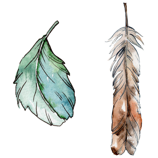 Watercolor bird feather from wing isolated. - Φωτογραφία, εικόνα