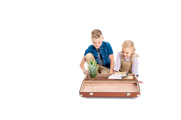 kids with pineapple, books and suitcase - Foto, Imagem