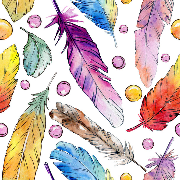 Watercolor bird feather pattern from wing. - 写真・画像