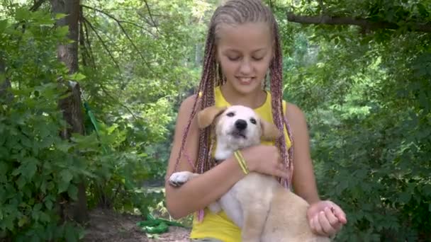 Ένα κορίτσι, Χαϊδεύοντας ένα σκυλί - Πλάνα, βίντεο