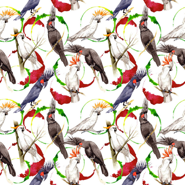 Sky bird black macaw pattern in a wildlife by watercolor style. - Фото, изображение
