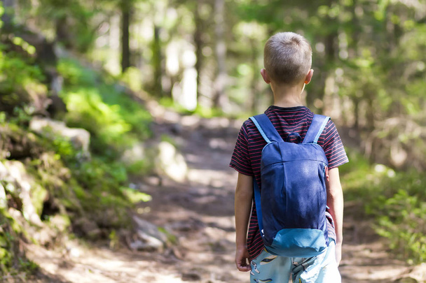 Kleiner Junge mit Wanderrucksack im Wald unterwegs - Foto, Bild