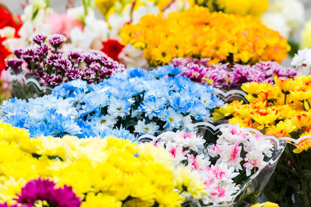 Bouquets of multi-colored chrysanthemums are sold at a street market. - Photo, image