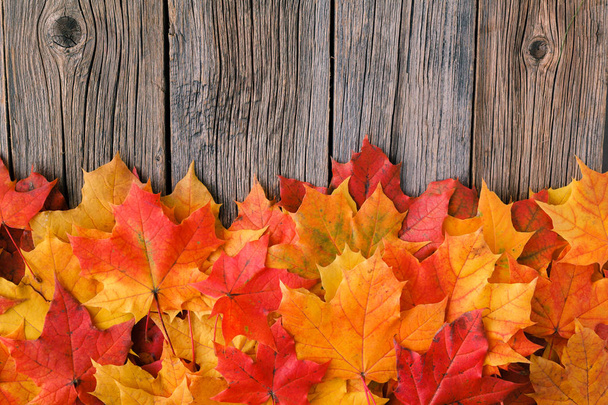 Herbst Hintergrund mit Ahornblättern auf Holztisch - Foto, Bild