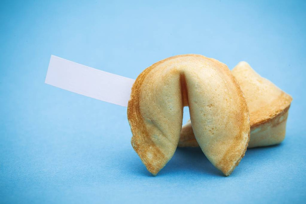 Fortune cookie with blank slip - Foto, Imagem