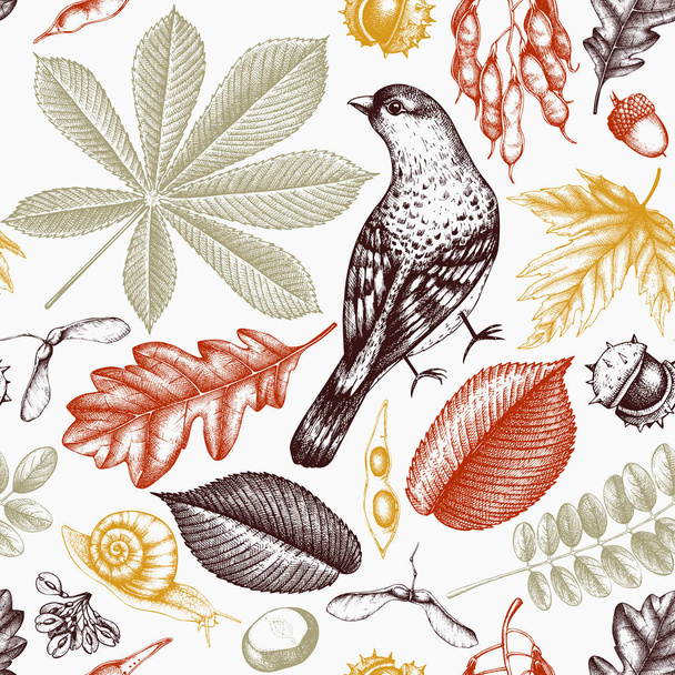 Seamless pattern with autumn leaves and seeds. - Vektör, Görsel