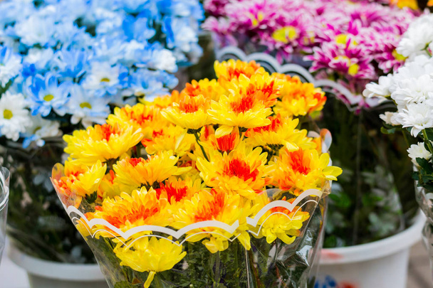 Bouquets of multi-colored chrysanthemums are sold at a street market. Yellow, blue, red, purple flowers - Фото, зображення