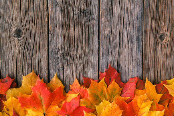 Creative background woth maple leaves - Photo, Image