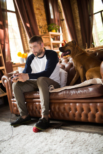 Man siiting on sofa playing video games, his dog sitting close to him. - 写真・画像