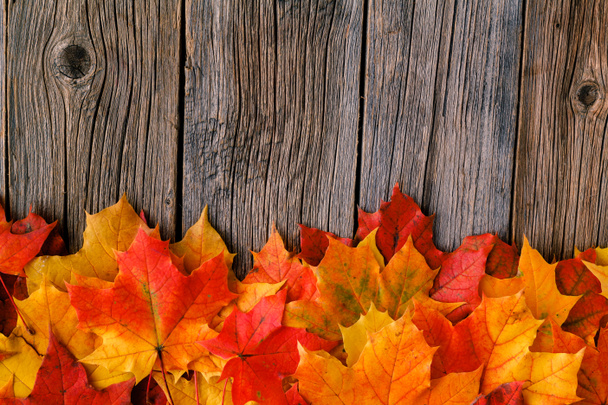 Autumn maple leaves on rustic table - Photo, Image