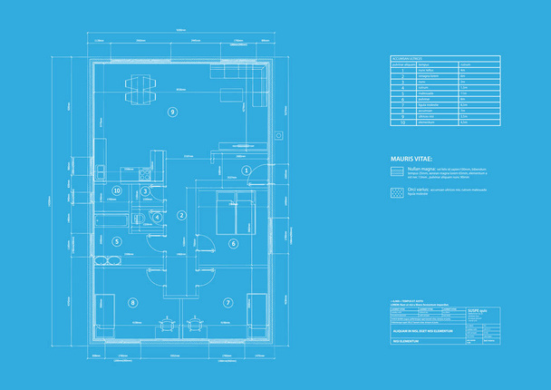 house on architect drawing - Vector, Image
