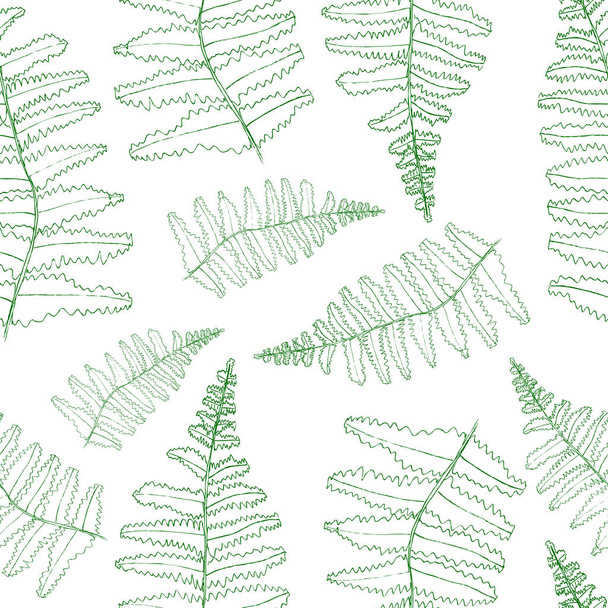 Vector fern silhouette collection. Green isolated prints of fern leaves on the white - Vector, Image