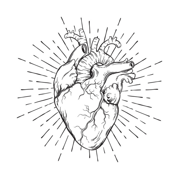 Ručně tažené lidské srdce s sunburst anatomicky správné umění. Flash tetování nebo potiskem vektorové ilustrace - Vektor, obrázek