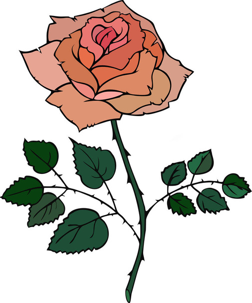 διάνυσμα κόκκινο τριαντάφυλλο - Διάνυσμα, εικόνα