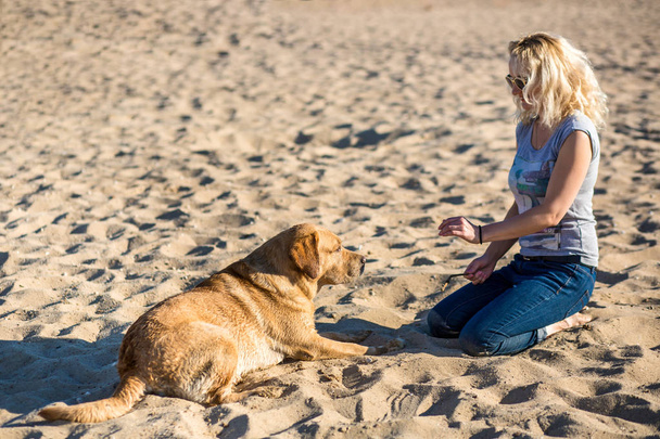 Portrait of young beautiful woman in sunglasses sitting on sand beach with golden retriever dog. Girl with dog by sea. - Photo, image
