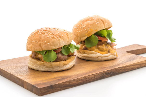 Close-up of home made fresh tasty burger isolated on white backg - Photo, Image