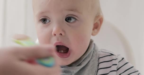 Mother Feeding Her Baby Boy with a Spoon close-up - Séquence, vidéo