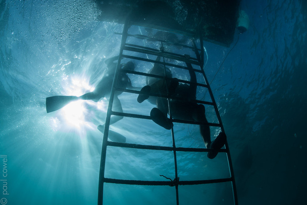 onderwater activiteit - Foto, afbeelding