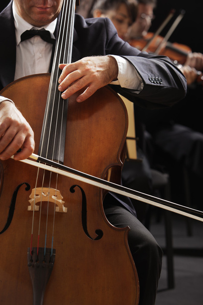 Classical music, cellist and violinists - Fotografie, Obrázek