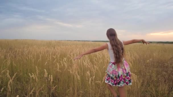 Meisje verspreid haar armen zoals vleugels en wandelingen in veld. Slow motion. - Video