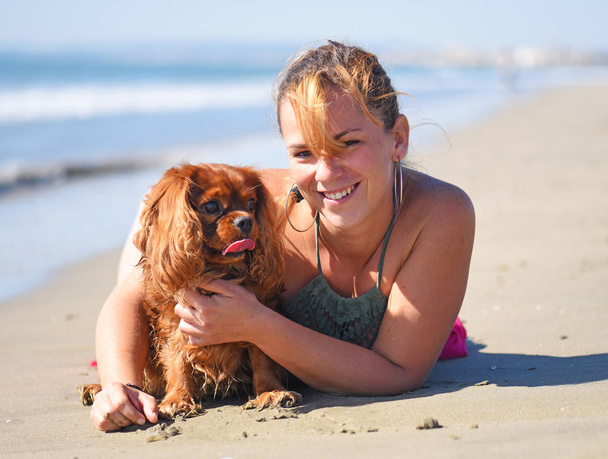 woman and dog on the beach - 写真・画像