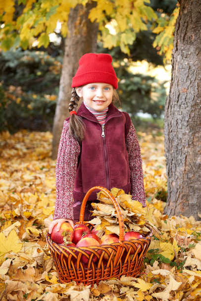 девушка с корзиной яблони в осеннем лесу позирует, желтые листья и деревья на заднем плане
 - Фото, изображение