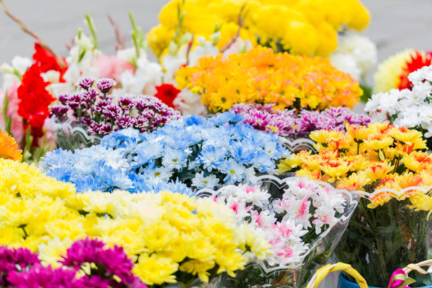 Bouquets of multi-colored chrysanthemums are sold at a street market. Yellow, blue, red, purple flowers - Foto, immagini