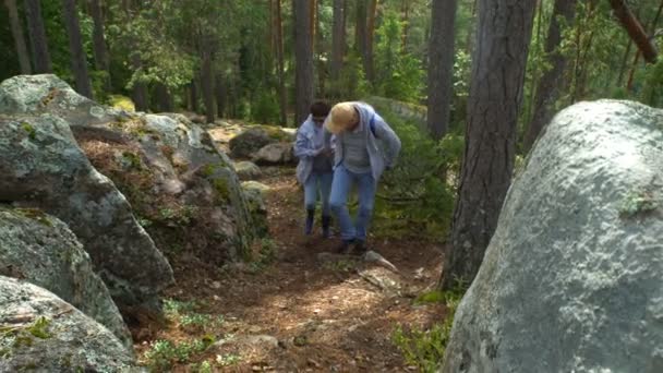 Anziani coppia attiva arrampicata sulla roccia nella foresta settentrionale
. - Filmati, video