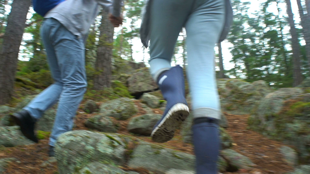 Vanhempi aktiivinen pari kiipeämässä kalliolla pohjoisessa metsässä
. - Materiaali, video