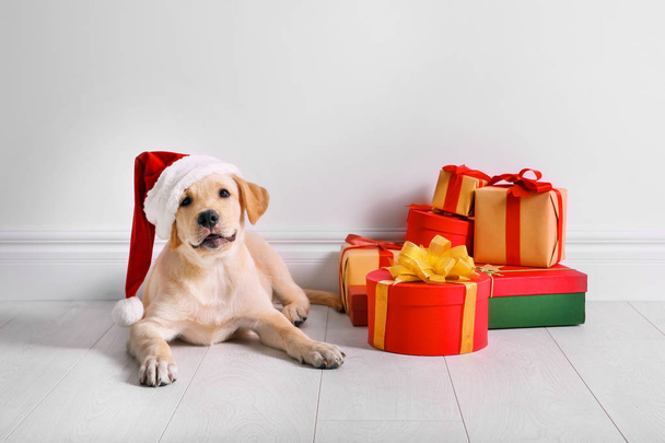 Cute dog in Santa Claus hat  - Foto, immagini